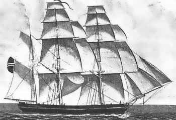 The "Bergen" - was a bark rigged ship