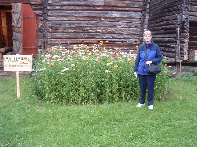 photo108.jpg