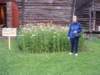 photo108_small.jpg