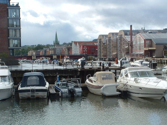 photo221.jpg