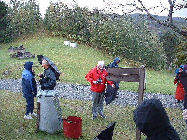 photo235.jpg