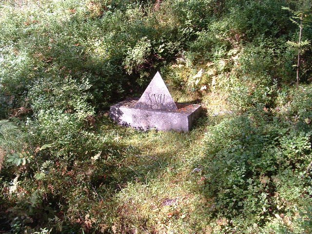 photo29.jpg