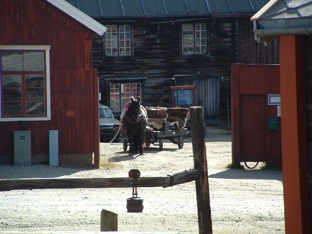photo77.jpg