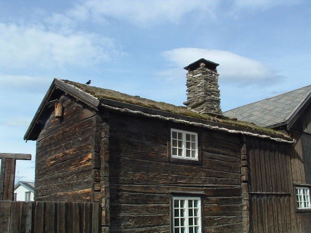 photo95.jpg