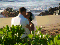 Kiss
                  on the beach